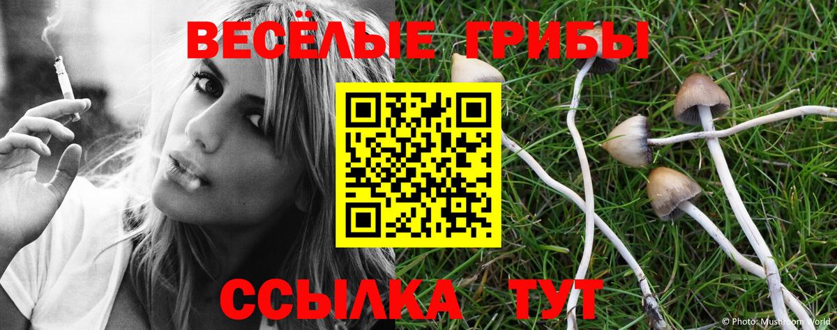 где можно купить   Вход с VPN  Подольск  Галлюциногенные грибы мицелий 